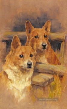  corgies - Zwei Corgies Arthur Wardle dog